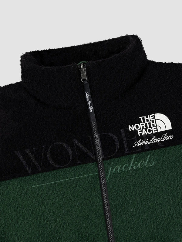 ALD x The North Face Casentino Nuptse Jacket