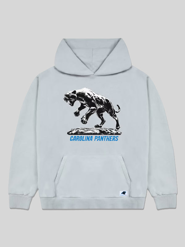 Carolina Panthers Grey Hoodie